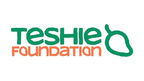 Teshie Foundation logo in green and orange text