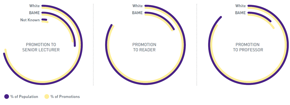 Thee circular charts with colour bars to so percent of promotions and percent of population for promotion to senior lecturer, promotion to reader and promotion to professor.