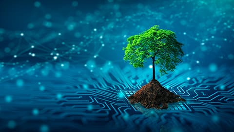 A computer generated image of circuit board with a tree in soil with green leaves placed on it.