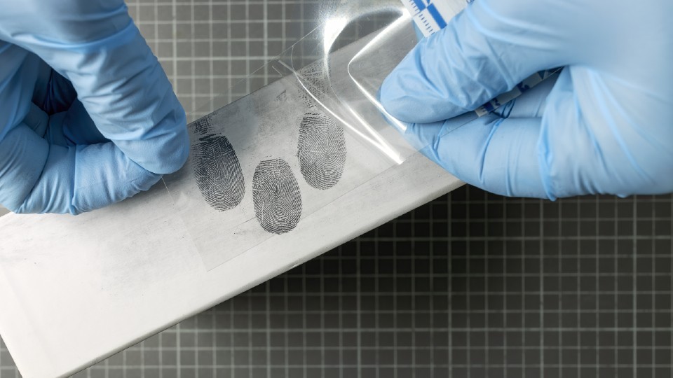 finger prints on a strip held by someone wearing blue gloves