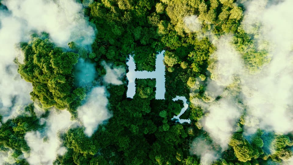Aerial view of forestry and vapour with the graphics 'H2' in the middle.