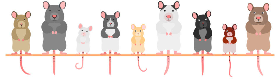a cartoon illustration of 9 mice standing in a row