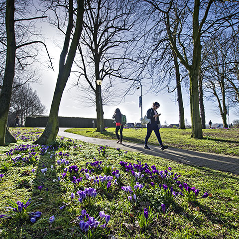 Sunny day on campus