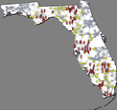 Map of Florida about socio-ecological systems