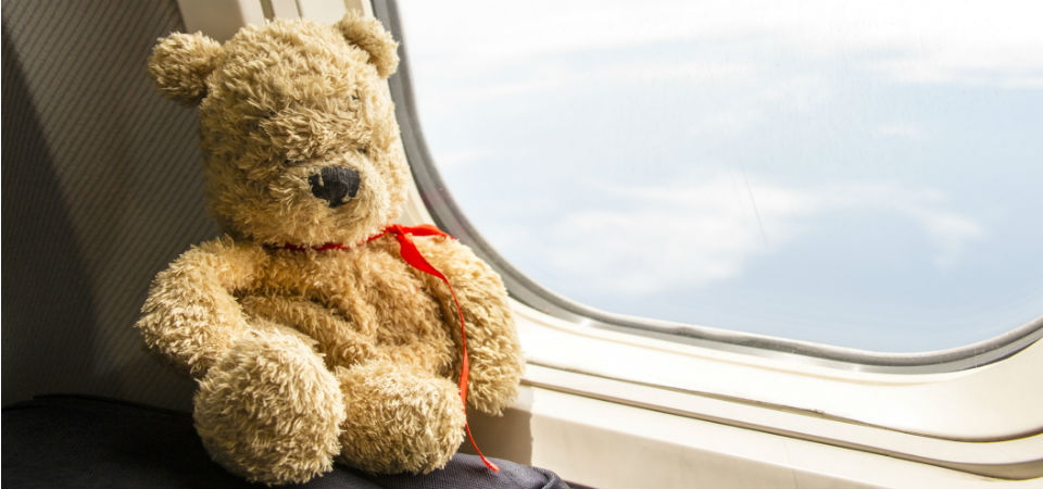 Teddy on a plane
