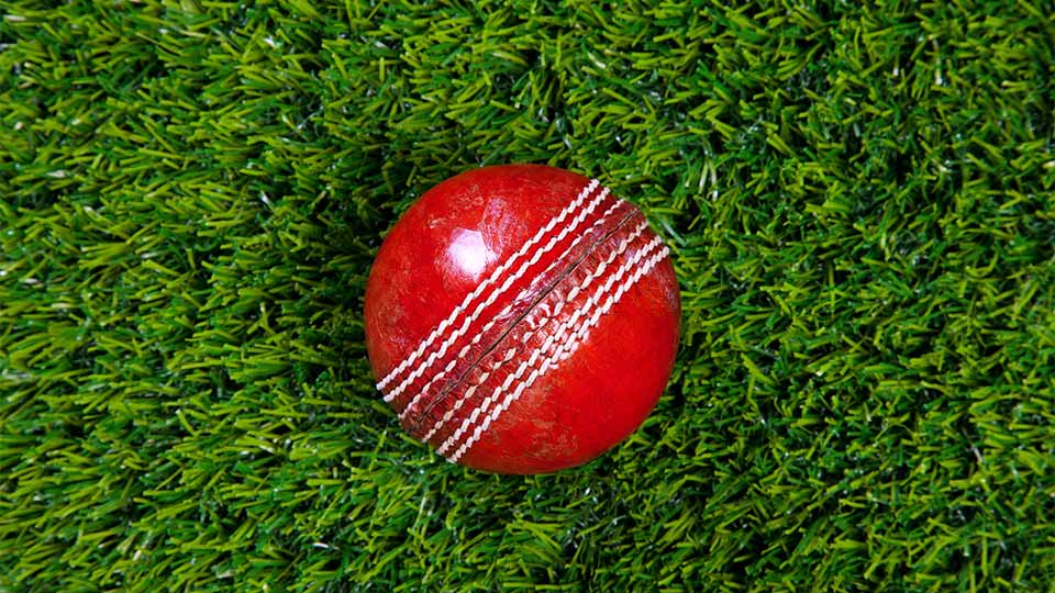 Pictured is a cricket ball. 