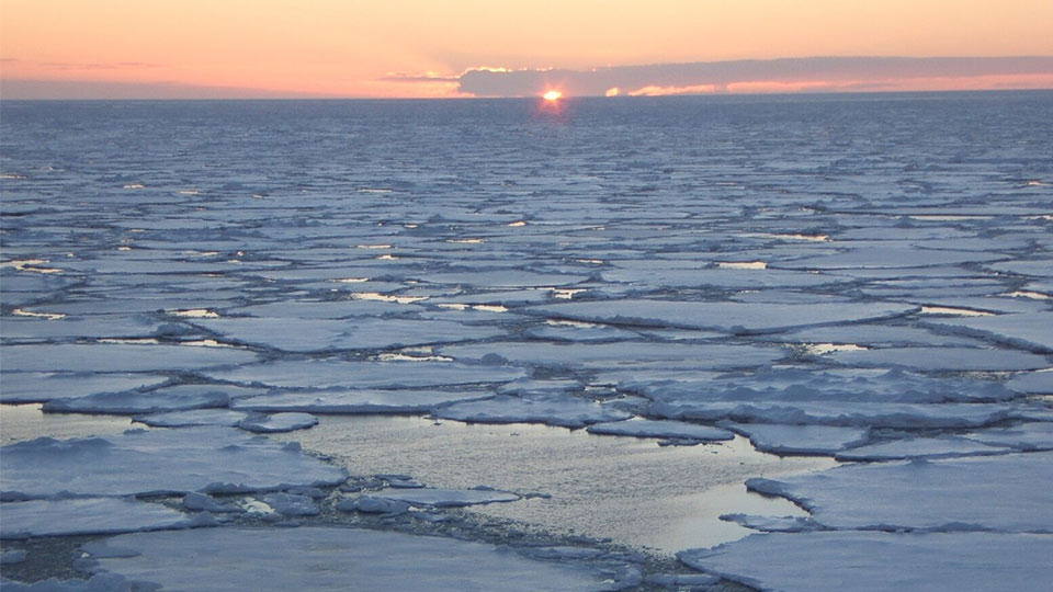 The Weddell Sea. Image courtesy of the Weddell Sea Expedition. 