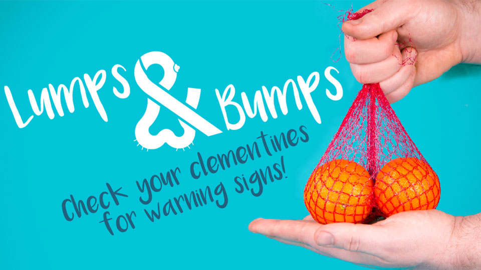 Pictured is the lumps and bumps logo and a sack of oranges. 
