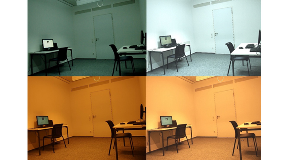 Different lighting conditions used in the laboratory study. 