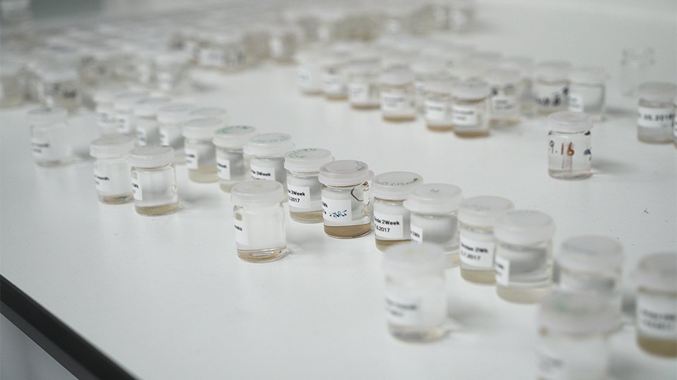 Samples of diatoms gathered from river and lake beds by Dr David Ryves, used to determine information about climate change