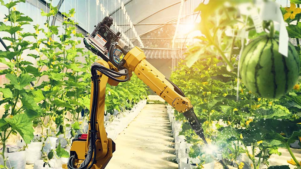 A robot spraying crops. 
