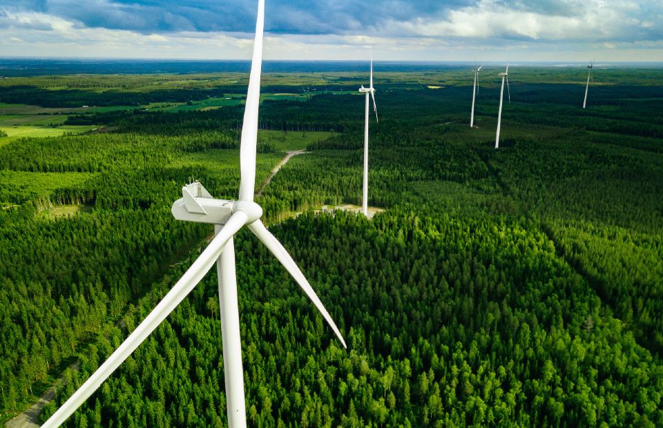 Wind turbines in a forest