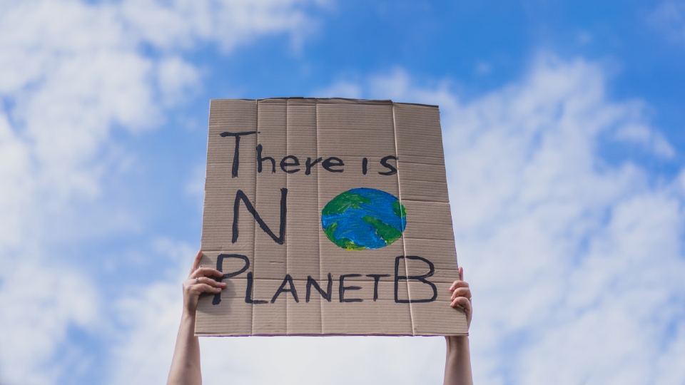 Sign saying 'there is no planet b' 