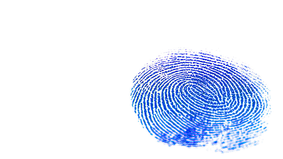 Pictured is a fingerprint. 