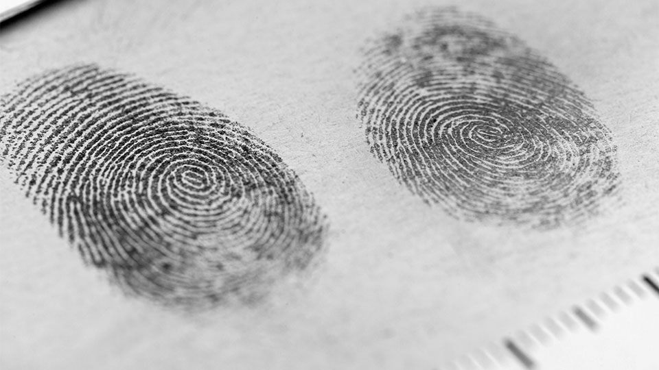 Photo of fingerprints using magnetic powders