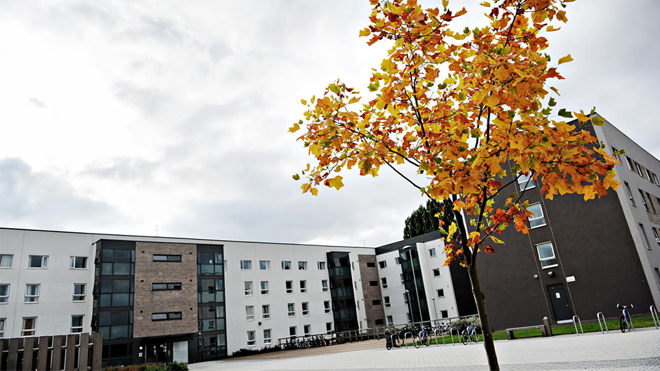 photo of Robert bakewell halls of residence outside with autumn tree