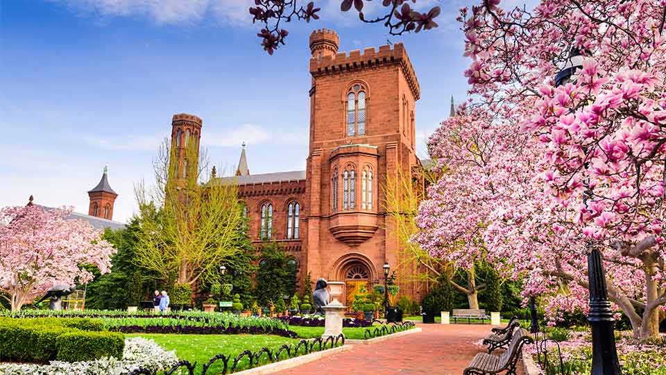 Pictured are the gardens at The Smithsonian Institution Building during the spring season. It is situated in the National Mall in Washington DC, which is home to 11 of the Smithsonian’s museums and galleries.