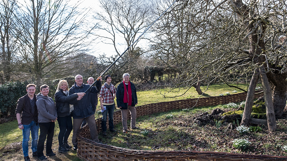 photo of Gardens team taking cuttings from the original Isaac Newton tree at Woolsthorpe Manor