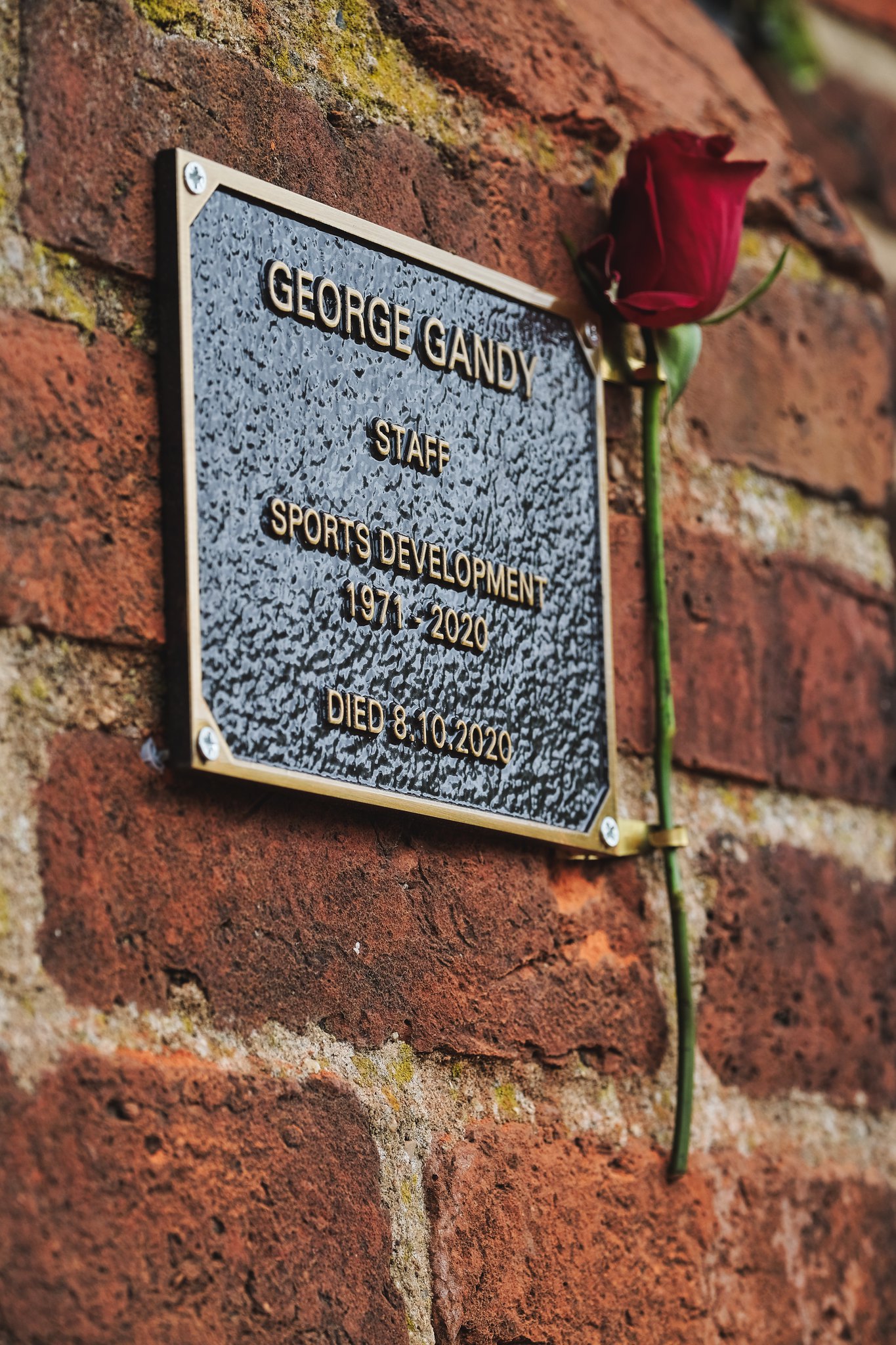 A photo of George Gandy's plaque with a rose next to it