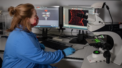 a woman working in the lab