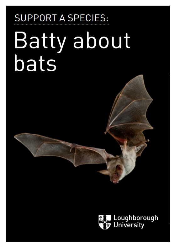 Sustainability's Batty about Bats Support a Species flyer. 