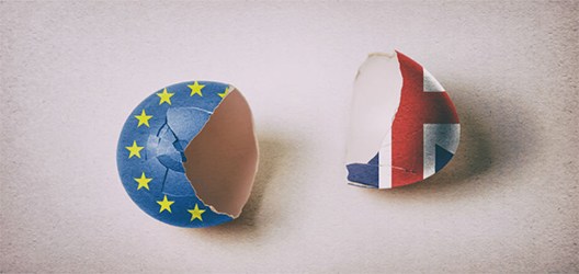 Pictured are two halves of an eggshell. One has the EU flag on it, the other a UK flag. 