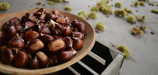 Pictured are a bowl of chestnuts. 