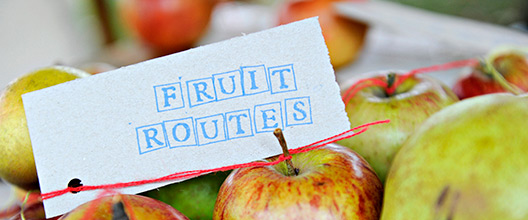 Fruit Routes