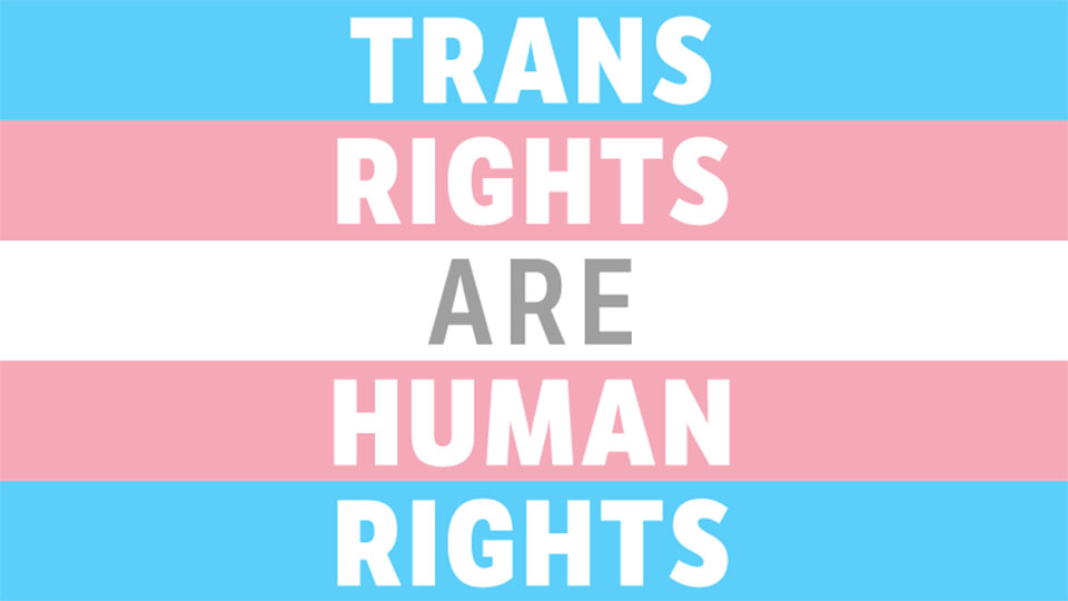 logo for Trans Rights are Human Rights campaign - with pink, blue and white stripes