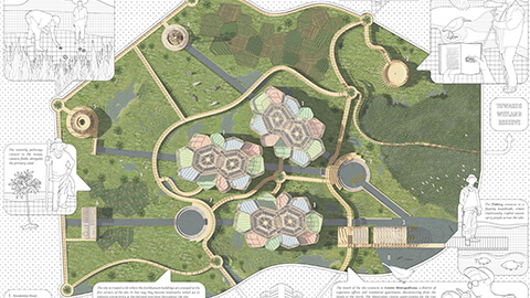 Return to the Carioca Backlands