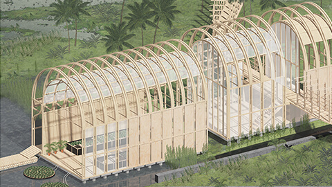 Return to the Carioca Backlands