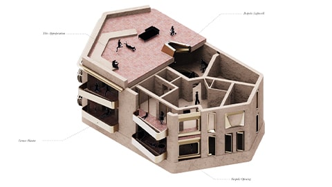 Maira's Protocol - Will