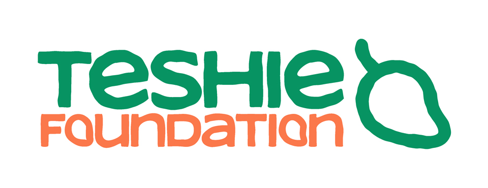Teshie Foundation logo in green and orange text