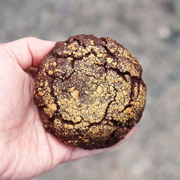 A hand holding a chocolate cookie with gold dusting.