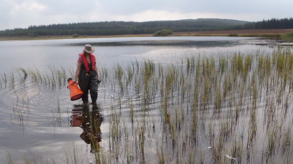 Sue Bell wading in water