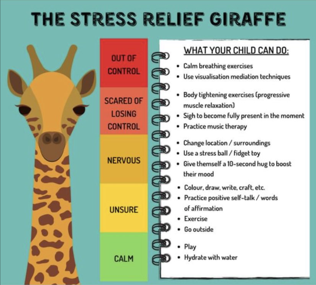 Image and chart of the stress relief giraffe