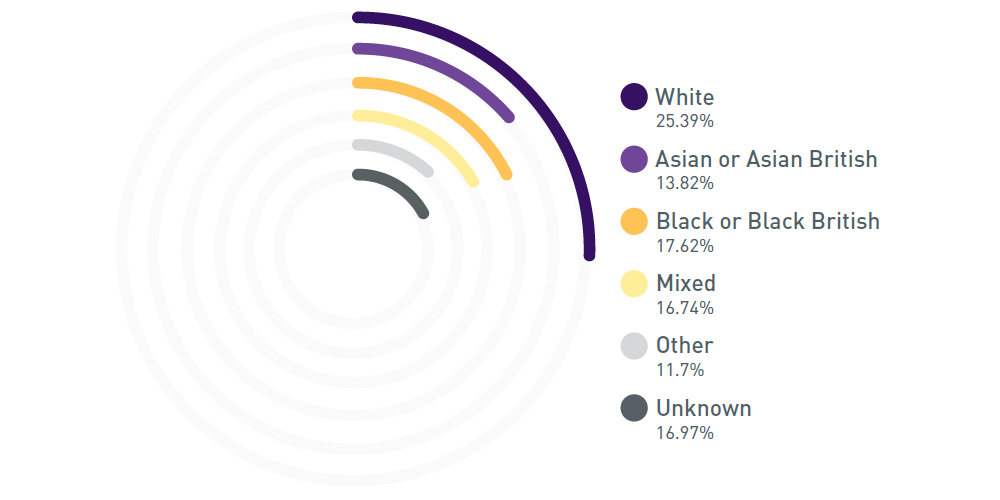 A chart with colour blocks to show shortlisted from applied percentages for professional service recruitment. White 25.39%, Asian or Asian British 13.82%, Black or Black British 17.62%, Mixed 16.74%, Other Ethnic Groups 11.7% and Unknown 16.97%