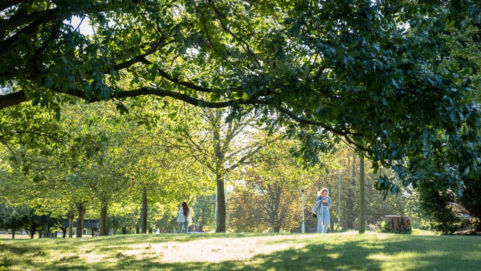 A pathway on campus surrounded by green trees. A couple of students walk on the paths. 