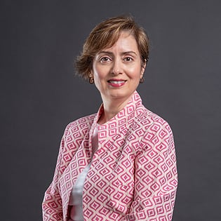 Professor Zeynep Aycan