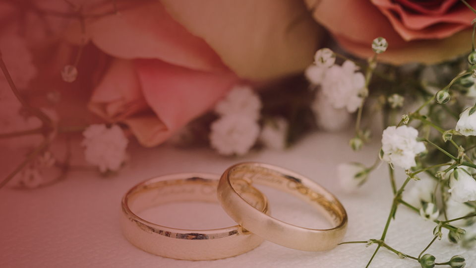 Close up of two overlapping gold wedding rings with white flowers and pink roses in the background.  There is a pink colour wash to the image.
