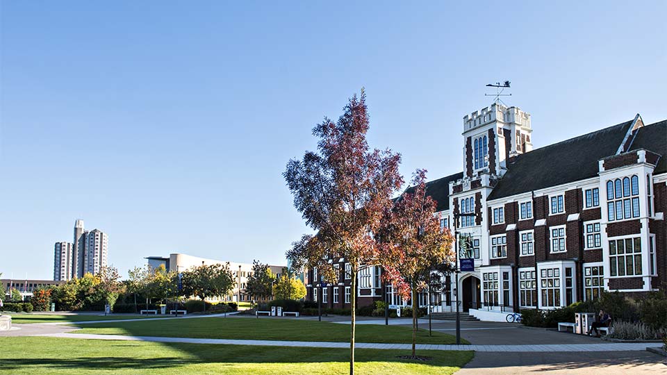 Flowers and trees on campus
