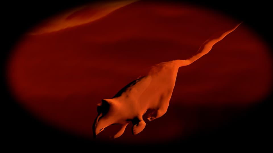 An abstract computer generated dog shape in a red background.