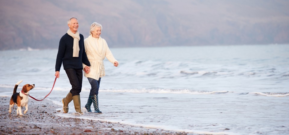 Retired couple walking dog on beach