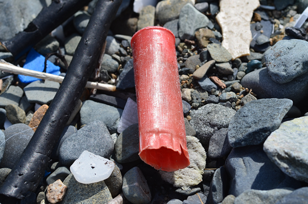 Shotgun shell washed up on beach