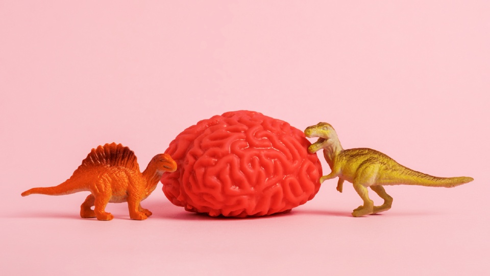 Two plastic dinosaurs next to a fake pink brain against a light pink background