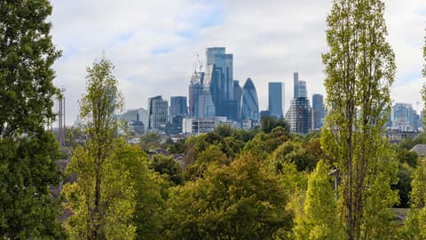 city skyline with trees