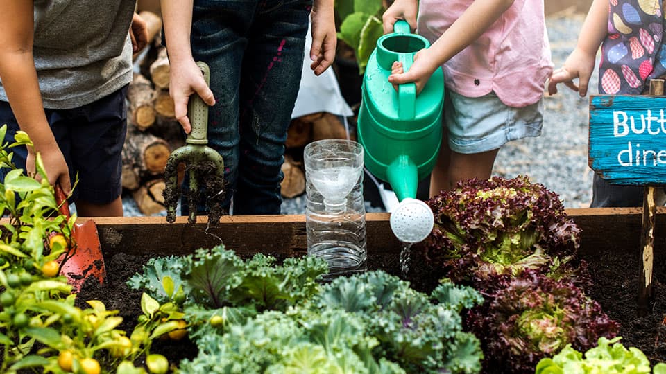 Children watering in a small garden