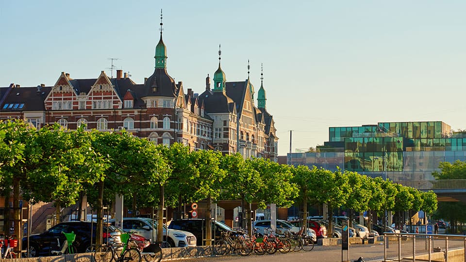 A landscape shot of Copenhagen with a line of green trees lining the road