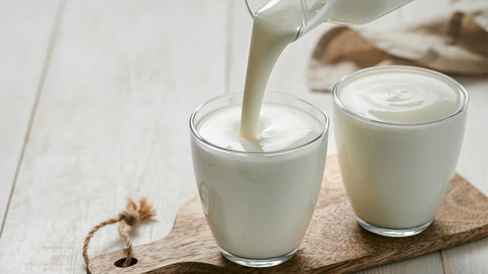 Assessing Dairy Health Benefits: Loughborough University Research on Milk Lipid Bioactives and Cardiovascular Health