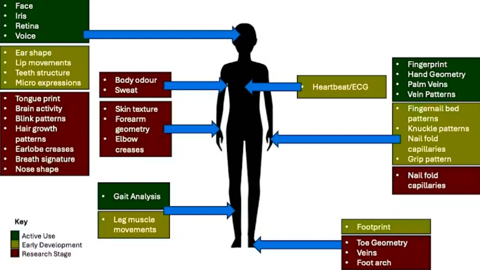 Diagram showing different forms of biometric identification mapped onto a human silhouette. Blue arrows point from labelled body areas to the relevant biometric traits. Categories are colour coded by development stage: green for “Active Use”, yellow for “Early Development”, and red for “Research Stage”.  Examples listed include facial recognition, iris, retina and voice; fingerprints, palm veins a